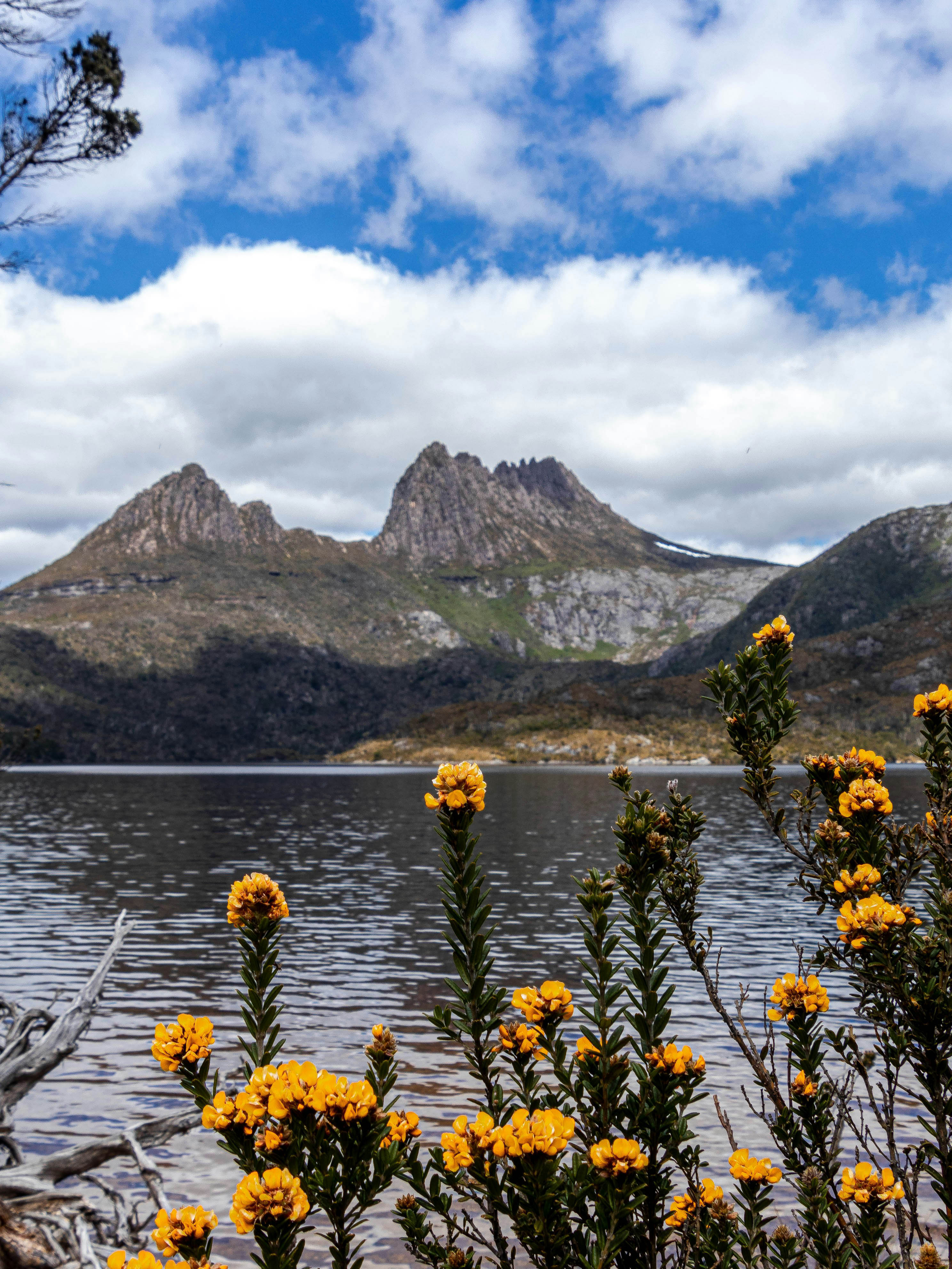 Tasmania